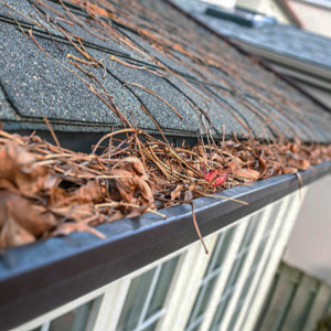 Gutter Cleaning Service Guidelines