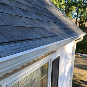Choose Gutter Guards to Protect Your Home