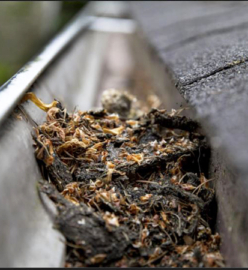 Gutter Debris and Cleaning