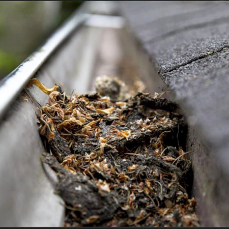 Why Cleaning Your Gutters Routinely is Important - The Gutter Specialist