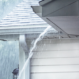 The Importance of Timely Gutter Repairs for Homeowners
