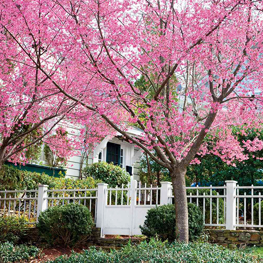Your Spring Exterior Home Maintenance Guide